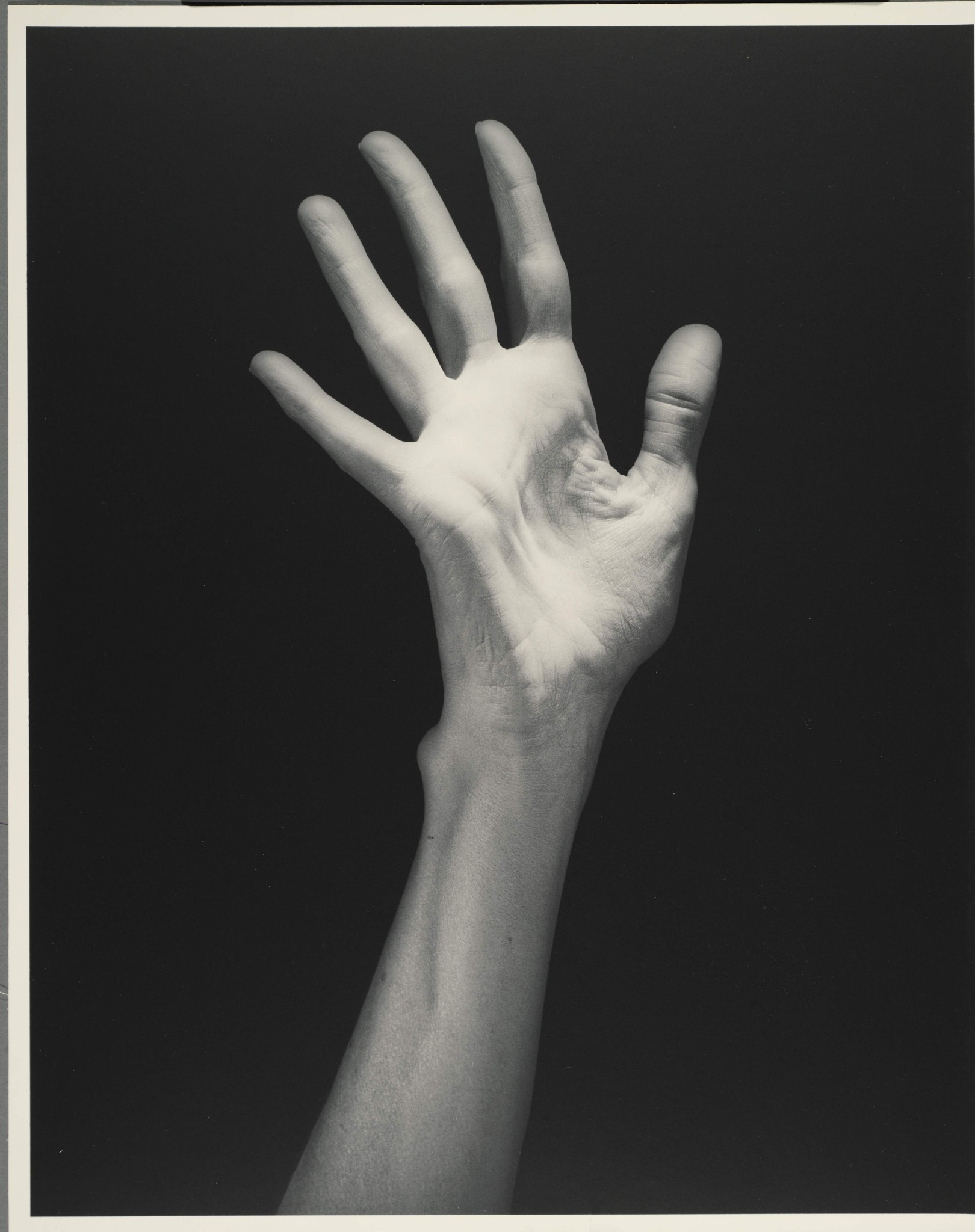 Lucinda’s hand (Lucinda Childs)