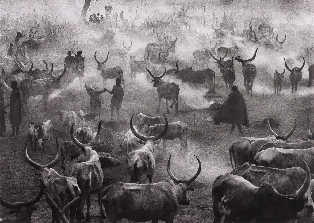 Dinka Cattle Camp of Amak, Southern Sudan