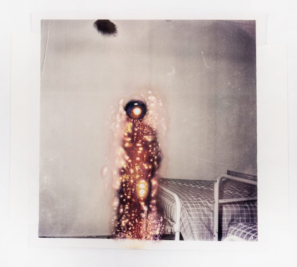 Sans titre (Série “It’s Hard to Kill”)